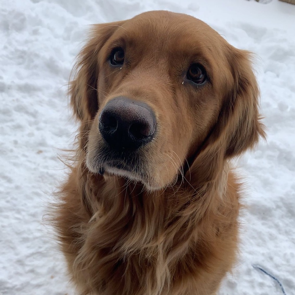 Meet your Posher, Katie